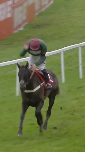 ITV Racing on Instagram: "A thriller of a race! 🤩 Handstands wins the Virgin Bet Scilly Isles Novices’ Chase! 🥇 #itvracing"