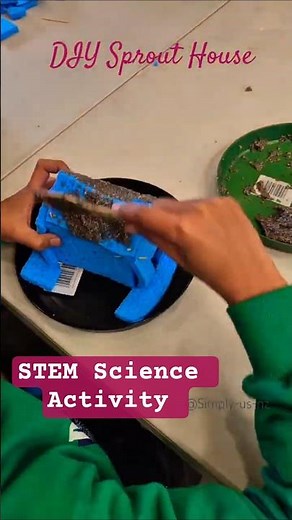 DIY Sprout House 🌱 Fun Kids Science Experiment | STEM Activity with Chia Seeds & Gardening for Kids