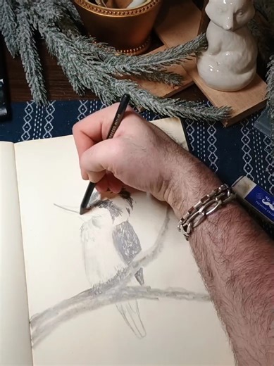 Sketchbook Study of a Kookaburra #sketchbook #drawing #arttok #kookaburra #followtrain