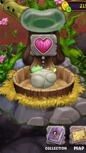 Breeding Quarrister in MSM.