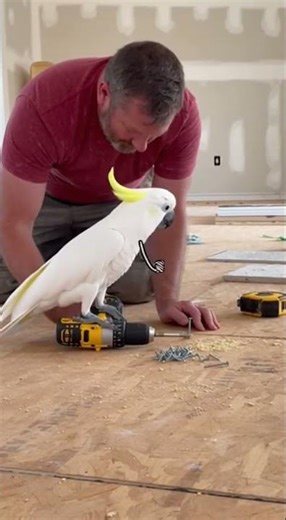 ☑️☑️☑️ QUALITY CONTROL ☑️☑️☑️ Watch This Epic Fail Unfold #throwback #fail #funny