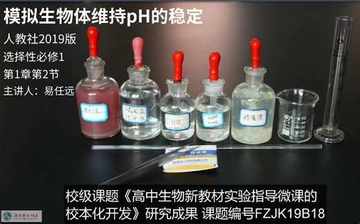 模拟生物体维持pH的稳定—2019版