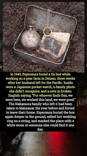 "Buried Message From a Lost Family Found in a Field After 1 Year"