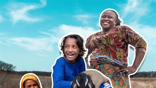 Introducing the Houses of Heifer | Amy Shepherd