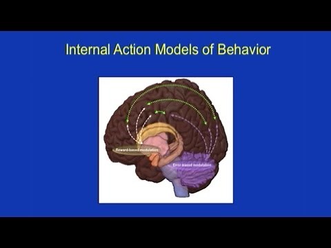 Motor and Social Skill Function: Connecting Learning and Brain Function in Autism