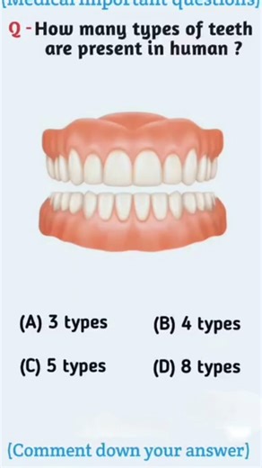 How many types of teeth are present in human#Teeth#HumanBody#BiologyFacts#ScienceShorts#humanbody#yt