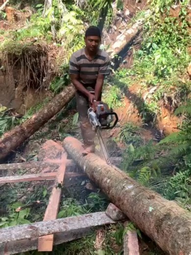 Let's make timber out of a log of wood. #woodwork #timber #operator