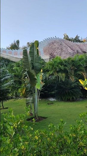 Dino Park Adventure | Explore the Ultimate Dinosaur Experience!