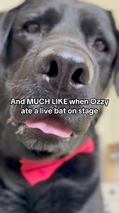 King Clarence pays tribute to the great Ozzy Osbourne | Jimmy & Clarence