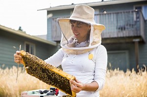 101 Bee Quotes That Are as Sweet as Honey | LoveToKnow