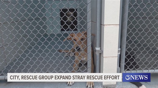 Local Animal Services Expanding Hours, Services