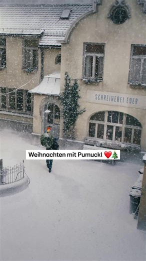 RTL+ on Instagram: "Weihnachten ja das ist heut' Pumuckl hat sich aufs Fest gefreut. 🎁🎄 Streamt die neuen Folgen von „Neue Geschichten vom Pumuckl“ jetzt auf RTL+. 🍿 #Pumuckl #NeueGeschichtenVomPumuckl #RTLPlus #PumucklStaffel2 #COCU"