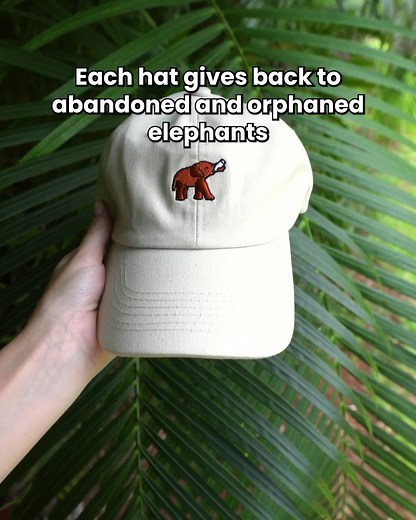 We created the Legend Elephant Hat to help save orphaned baby elephants. 🐘 You can even scan your hat to follow an elephant's journey to recovery. Shop now: https://legendbracelet.com/products/elephant-legend-hat?variant=39622994067558 | Follow Your Legend
