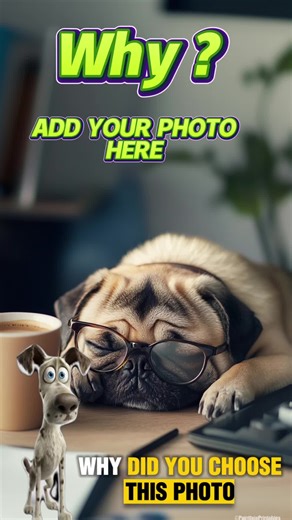 🎬 🐶🤔 CONFUSED DOG CapCut Template ❗️ A dog cut-out scratches his head in confusion 😳 Text voice say: “Why did you choose this photo?” Add 1 photo and let the dog question your life choices 😂📸 📍 Add 1 photo 📍 Your photo appears on screen 📍 Talking dog voiceover included 📍 Funny confused head-scratch reaction 📍 Perfect for memes & bad photo choices 📍 Quick, simple & super easy to use 👉 Try it here: https://www.capcut.com/tv2/ZSamwkPYy/ #CapCut #CapCutTemplate #DogMeme #FunnyTemplate #