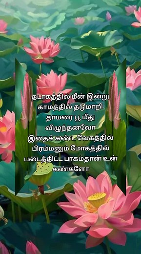 Classic Tamil Songs Collection | Ilayaraja Hits | Heartwarming Melodies