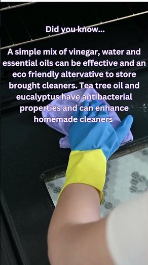 Eco-Friendly Cleaner | DIY Natural, Non-Toxic Cleaning Solutions for a Green Home