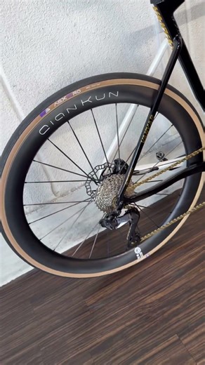elves bike vanyar pro disc/ yoeleo QianKun