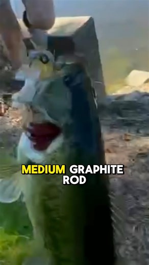 PERFECT River Fishing STARTER Kit! 🎣💯 #shorts #fishing #2026