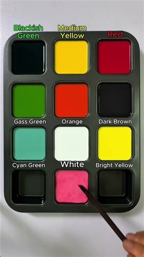 Create 8 colors from 4 colors: Blackish Green, Medium Yellow, Red, White. #asmr #mixing #colors