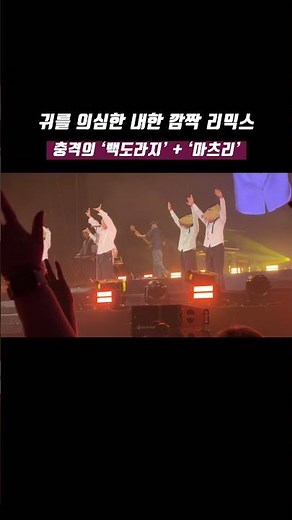 ’ㅇ..이것 뭐에요?‘ 충격의 백도라지와 후지이 카제 마츠리(Matsuri) 리믹스 ㅣ 241214 후지이카제 내한 #fujiikaze #후지이카제