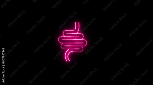 Neon glowing Intestine human icon animation on black background. Intestinal inflammation icon animation.
