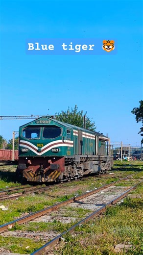 blue tiger 🐯 age 30 locomotive at Lahore yard #train #update