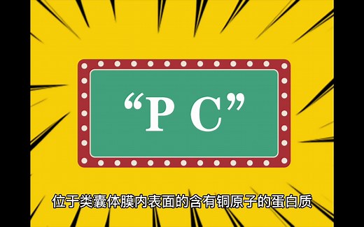 “PC”是什么意思？