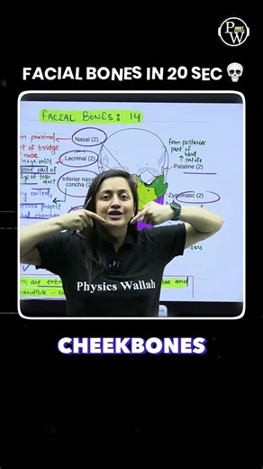 Facial Bones in 20 Seconds 🦴⚡ | Human Skeleton Quick Trick | Ambika Ma’am