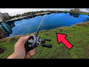 This Pond Has MASSIVE Bass (Double Digits) FL Bass Fishing