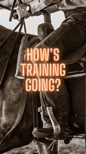 49 reactions · 6 comments | When I get asked what training horses is like... this video is a great representation. There is always an ebb and flow. Things are good and things fall apart; it's normal! Don't quit. Enjoy the journey. Trust the process. Hogan Equine - Where Change is made  #dontquit #trusttheprocess #enjoythejourney #horseriding #howitsgoing | Hogan Equine | Facebook