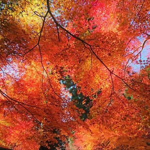 Fujifilm / 富士フイルム on Reels