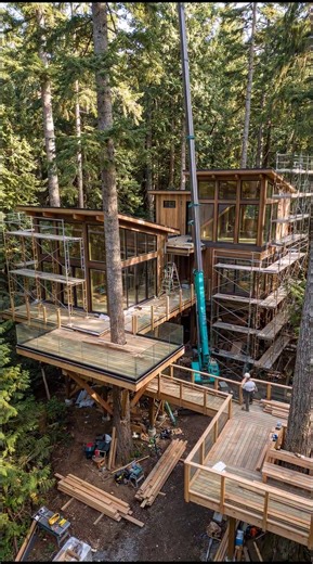 Epic Treehouse Build