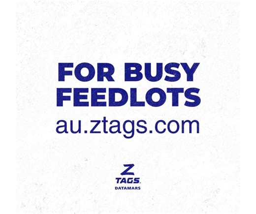 Built for serious feedlot work! View the Feedlot tag at https://au.ztags.com/products/livestock-tags/feedlot-tag #ZTags #Feedlot | Datamars Livestock AU