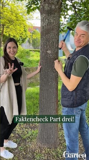 What's the truth behind the myth that a copper nail can kill a tree?🌳#garden #mybeautifulgarden