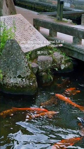 瀬戸川 (Setogawa Canal), Japan