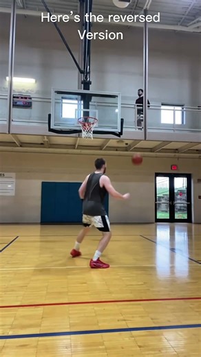 Here’s the reversed version (original by @MrBeardedDragon) #reversed #shorts #dontflop #memes #fyp