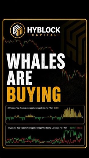 This Bitcoin Signal Predicted 2024 & 2025 and Now It’s Back!