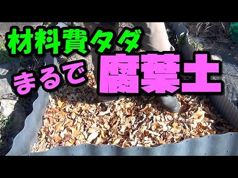 [Soil making] There's no way to fail! How to make "Fallen leaf compost" for soil improvement Comp...