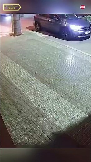 Attempted Robbery Caught on Camera Ends with Driver Fighting Back in Caseros