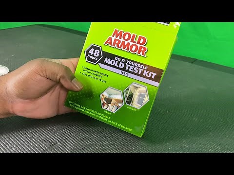 How to test Mold In your Home With diy Test Kit