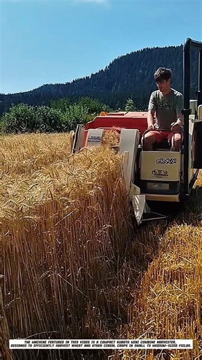 Precision Wheat Harvesting | Modern Agricultural Technology