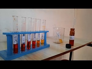 10th Science, Activity 2.1