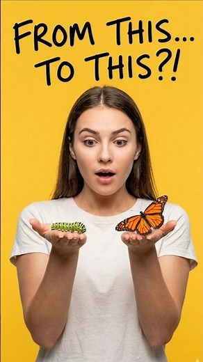 What Does Metamorphosis Mean? #Metamorphosis #Science #Nature #facts