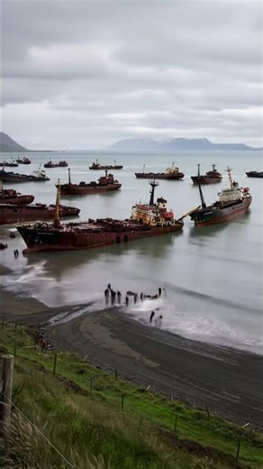 Exploring a massive ship graveyard #Abandoned