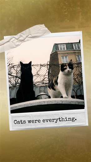 🐾 Babies On Four Paws “I think I’d rather have a cat.” That one line said everything about Freddie. To him, his cats were family — his babies. He cared for at least ten of them — Tom, Jerry, Oscar, Tiffany, Delilah, Goliath, Lily, Miko, Romeo, and Dorothy — each with their own story and a place in Freddie’s heart (and sometimes on his piano 🎶). They had their own rooms, Christmas stockings, and meals served straight from his hand. Delilah, his favourite, inspired a song. Goliath, the tiniest b
