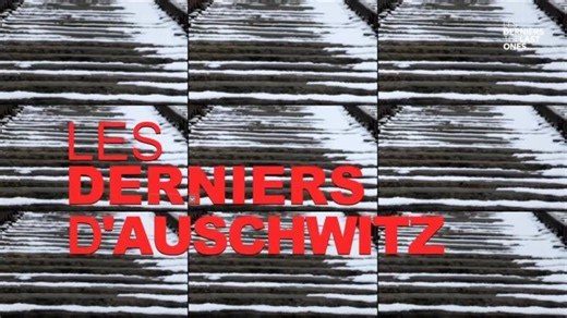 Les Derniers d Auschwitz | Sophie Nahum