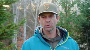 Paddling guide: Madawaska River, Ontario