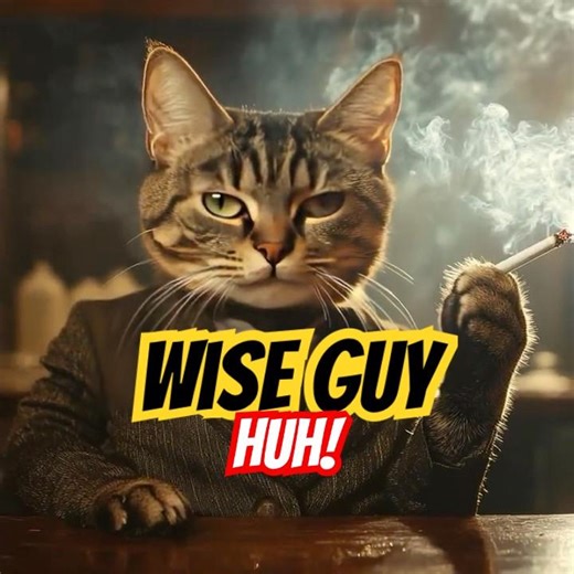 Gangster Cat Says ‘Wise Guy, Huh!’ 😼💥