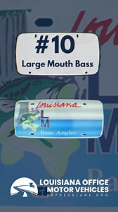 2.4K views · 11 reactions | MOST POPULAR SPECIALTY LICENSE PLATES Can you guess Louisiana's most popular specialty license plates in the last 12 months? Hint: Two of them are purple  and gold ! | Louisiana Office of Motor Vehicles | Facebook