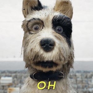 You heard the rumour, right? Isle of Dogs, the new film from Wes Anderson, is in cinemas now. | Isle of Dogs Movie